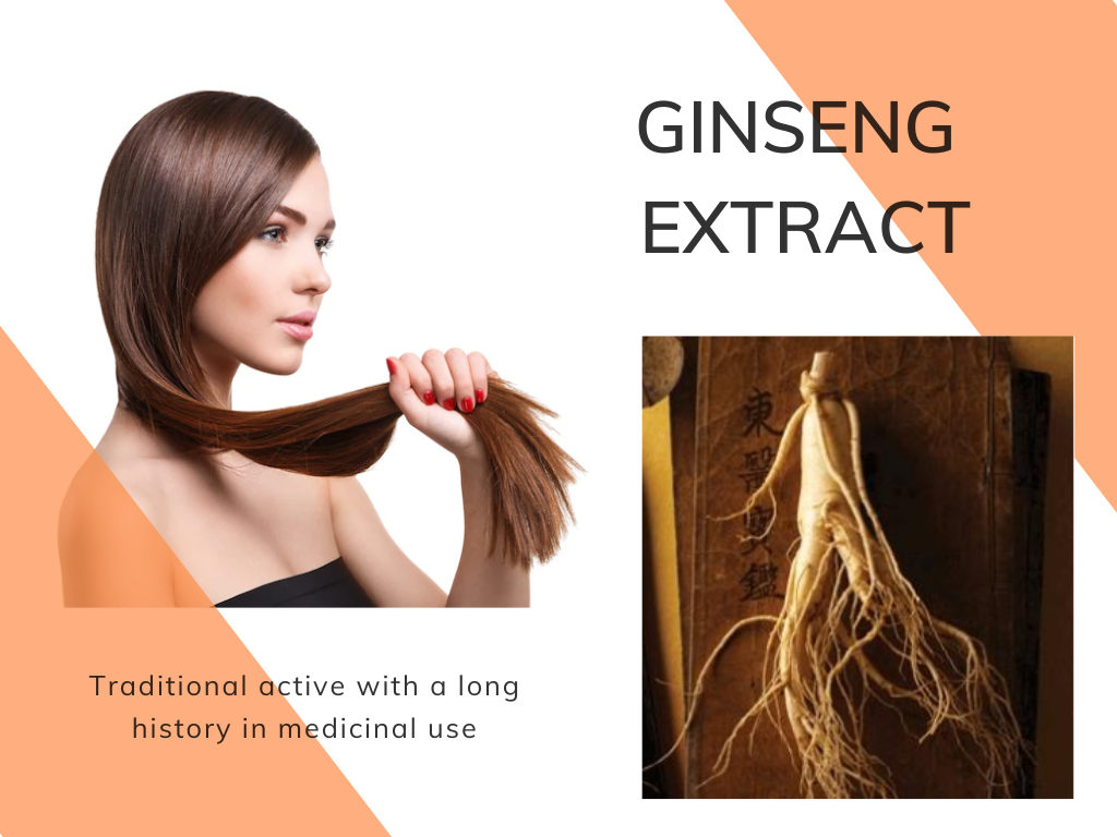 Ginseng Extract สารสกัดจากรากโสม อุดมด้วยสารGinsengnosides ลดการหลุดร่วงของเส้นผม กระตุ้นการงอกของเส้นผมใหม่